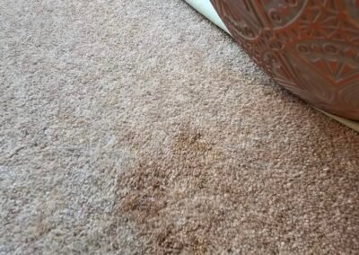 Carpet Cleaning Cleethorpes