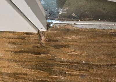 Carpet Cleaning Cleethorpes