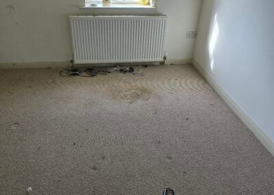 Sofa Cleaning Holten le clay