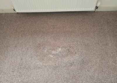Sofa Cleaning Tetney