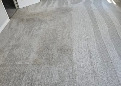 Carpet Cleaning New Waltham