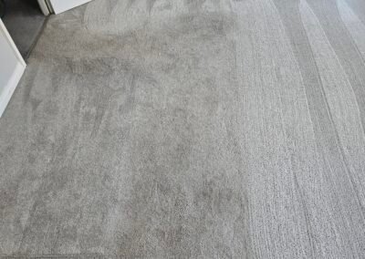 Carpet Cleaning New Waltham