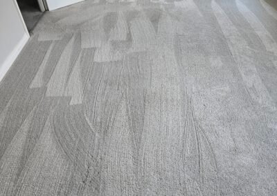 Carpet Cleaning New Waltham