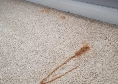 Sofa Cleaning Cleethorpes