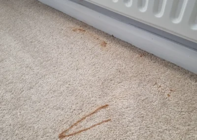 Sofa Cleaning Cleethorpes
